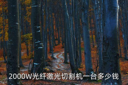 2000W光纖激光切割機(jī)一臺(tái)多少錢