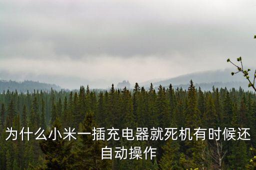 為什么小米一插充電器就死機(jī)有時(shí)候還自動(dòng)操作