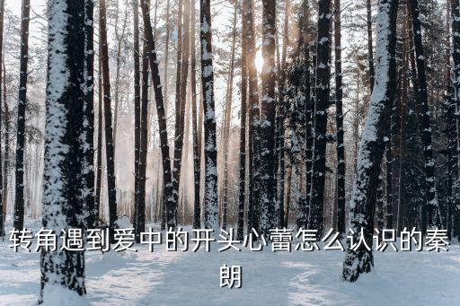 轉(zhuǎn)角遇到愛(ài)中的開頭心蕾怎么認(rèn)識(shí)的秦朗