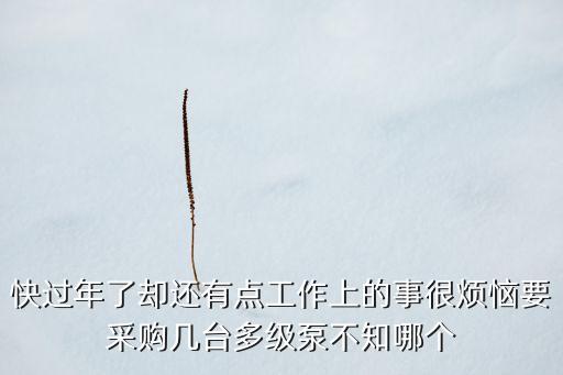 中邁機(jī)電設(shè)備有限公司，快過(guò)年了卻還有點(diǎn)工作上的事很煩惱要采購(gòu)幾臺(tái)多級(jí)泵不知哪個(gè)