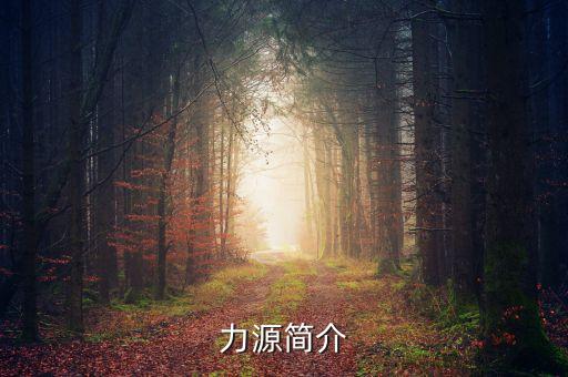 力源科技是做什么的，武漢力源科技有限公司的獎票是真的還是假的這個公司是干什么的