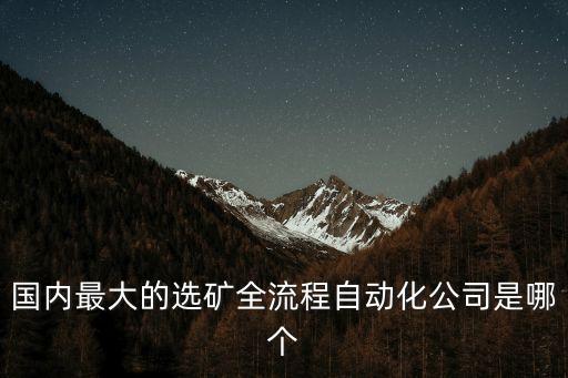 國內(nèi)最大的選礦全流程自動化公司是哪個