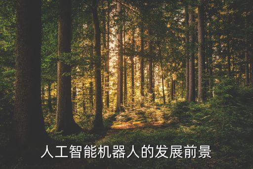 做機(jī)器人行業(yè)前景怎么樣，人工智能機(jī)器人的發(fā)展前景