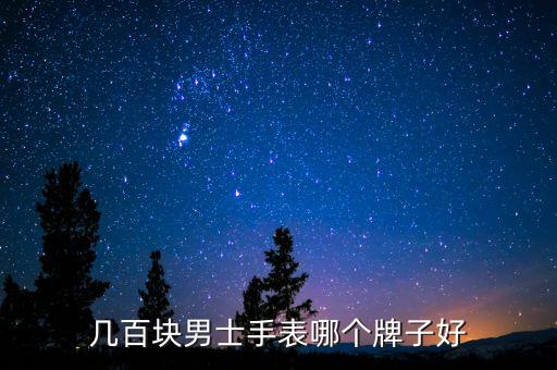幾百塊男士手表哪個牌子好