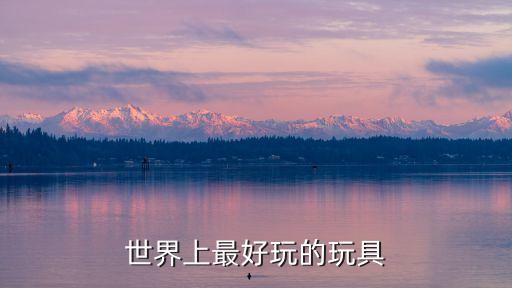 世界上最先進(jìn)的玩具，世界上最好玩的玩具