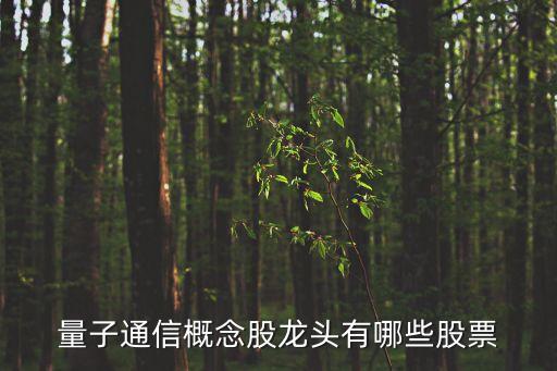量子通信概念股龍頭有哪些股票