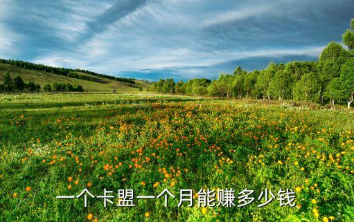 一個卡盟一個月能賺多少錢