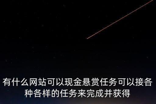 有什么網(wǎng)站可以現(xiàn)金懸賞任務(wù)可以接各種各樣的任務(wù)來完成并獲得