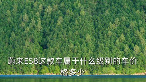 蔚來(lái)ES8這款車屬于什么級(jí)別的車價(jià)格多少