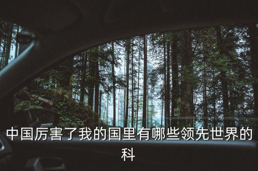 中國厲害了我的國里有哪些領(lǐng)先世界的科