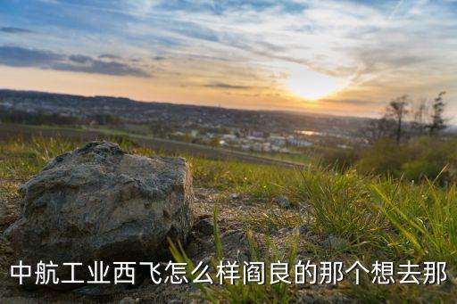 科技飛機(jī)，科技防空洞飛機(jī)是什么