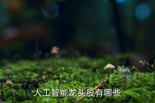 人工智能龍頭股有哪些