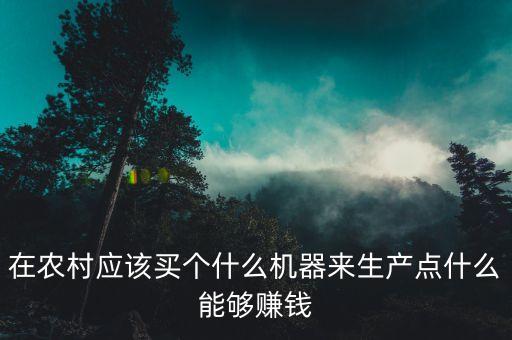 在農(nóng)村應(yīng)該買個(gè)什么機(jī)器來生產(chǎn)點(diǎn)什么能夠賺錢