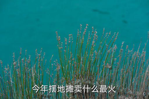 今年擺地攤賣什么最火