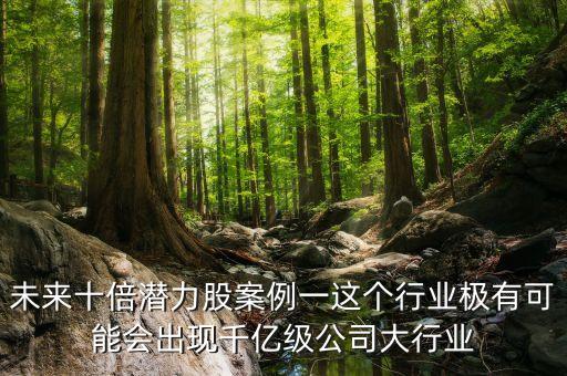 2022年十倍潛力牛股，未來十倍潛力股案例一這個行業(yè)極有可能會出現(xiàn)千億級公司大行業(yè)