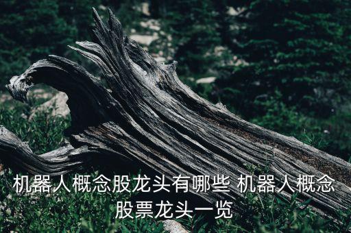 機器人概念股龍頭有哪些 機器人概念股票龍頭一覽