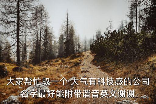 科技感十足的公司名稱英文，大家?guī)兔θ∫粋€(gè) 大氣有科技感的公司名字最好能附帶諧音英文謝謝