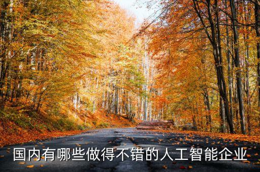 人工智能公司排名國內，國內都哪些比較牛的人工智能公司