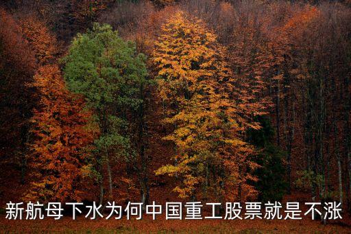 中國重工股票為什么不漲，中國重工為什么不漲