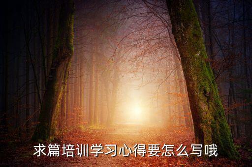 求篇培訓(xùn)學(xué)習(xí)心得要怎么寫(xiě)哦