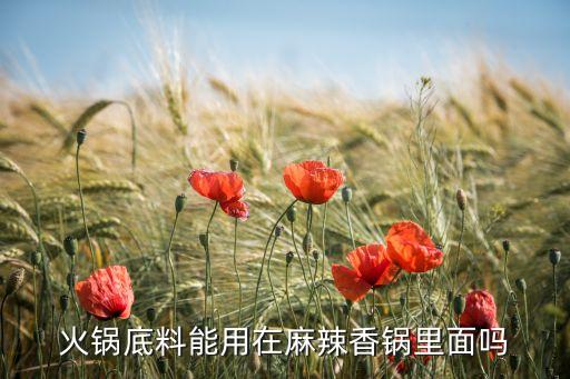用火鍋料炒麻辣香鍋，火鍋底料和麻辣香鍋?zhàn)龇? /></a><a href=