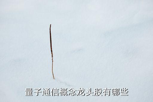 量子通信概念龍頭股有哪些