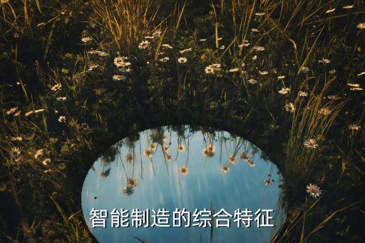 智能制造的綜合特征