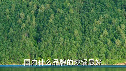 炒菜鍋哪個(gè)牌子好用鋁合金，炒鍋買(mǎi)什么鍋好什么牌子的好
