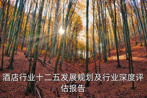 酒店行業(yè)十二五發(fā)展規(guī)劃及行業(yè)深度評(píng)估報(bào)告