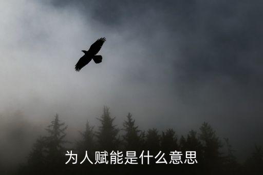為企業(yè)賦能是什么意思，為人賦能是什么意思