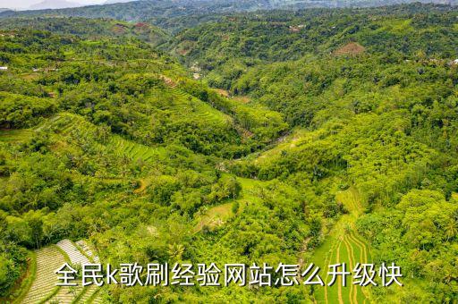 全民k歌刷經(jīng)驗網(wǎng)站怎么升級快