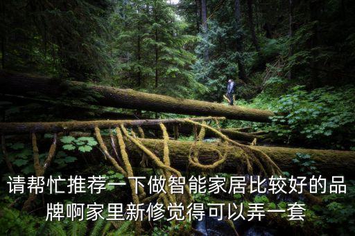 請幫忙推薦一下做智能家居比較好的品牌啊家里新修覺得可以弄一套