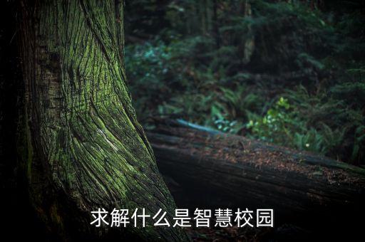 求解什么是智慧校園