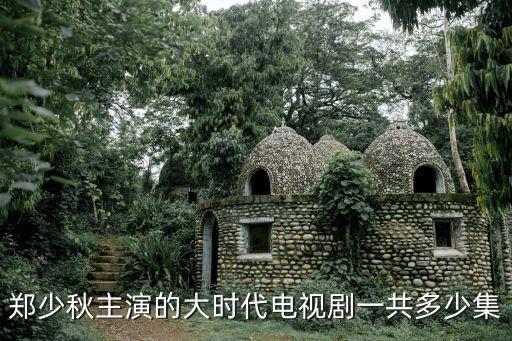 鄭少秋主演的大時代電視劇一共多少集