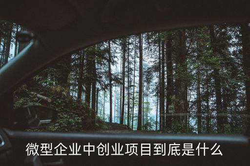 微小型創(chuàng)業(yè)項(xiàng)目，小成本創(chuàng)業(yè)項(xiàng)目有哪些