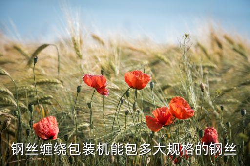 鋼絲纏繞包裝機能包多大規(guī)格的鋼絲