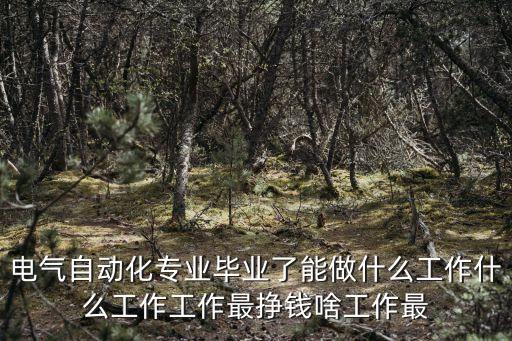 電氣自動化專業(yè)畢業(yè)了能做什么工作什么工作工作最掙錢啥工作最
