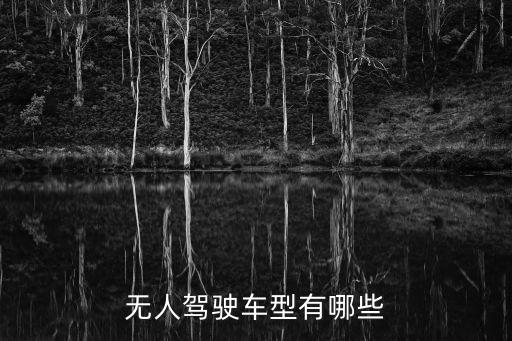 無人駕駛汽車都有哪些車型，現(xiàn)在無人駕駛汽車有哪些