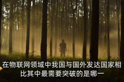中國(guó)需要突破的領(lǐng)域是什么，你打算在工作中的那些領(lǐng)域有所突破