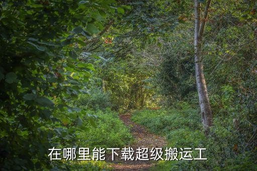 在哪里能下載超級(jí)搬運(yùn)工