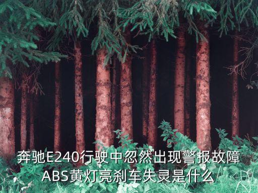 奔馳自動(dòng)駕駛失靈事件，奔馳定速巡航失靈事件是真的嗎 奔馳定速巡航安全嗎