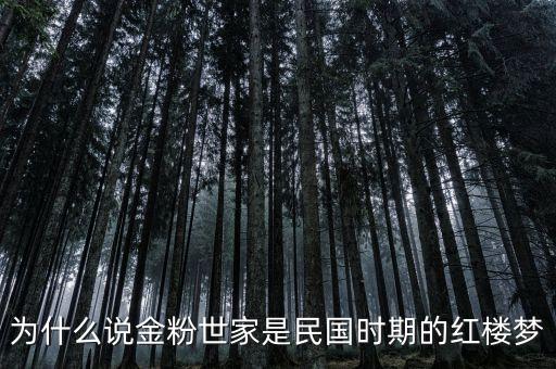 為什么說金粉世家是民國時期的紅樓夢