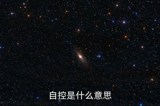 自控是什么意思