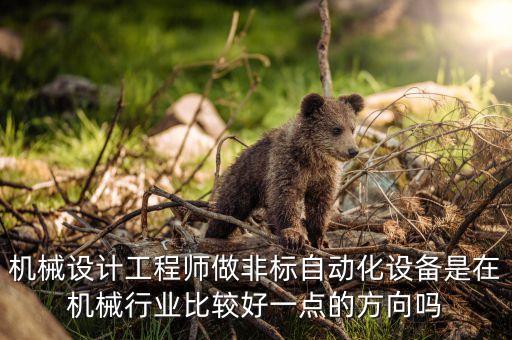 機(jī)械設(shè)計(jì)工程師做非標(biāo)自動化設(shè)備是在機(jī)械行業(yè)比較好一點(diǎn)的方向嗎