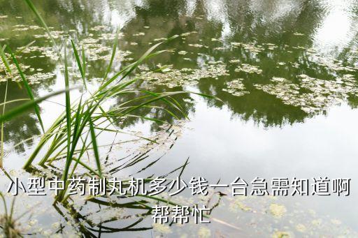 小型中藥制丸機(jī)多少錢(qián)一臺(tái)急需知道啊 幫幫忙