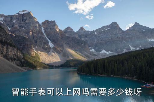 智能手表可以上網(wǎng)嗎需要多少錢呀