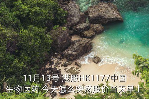 11月13號 港股HK1177中國生物醫(yī)藥 今天怎么突然股價(jià)當(dāng)天早上