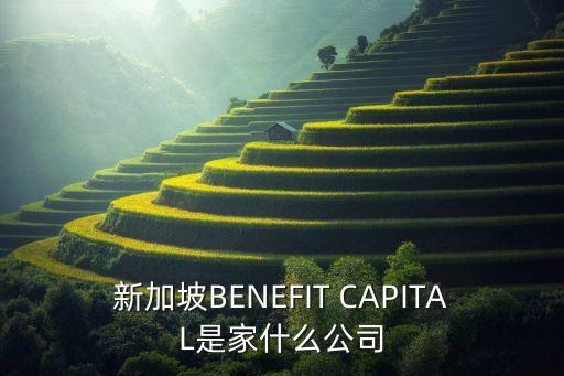 新加坡BENEFIT CAPITAL是家什么公司