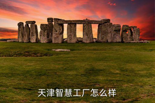 智慧工廠項目，國內(nèi)外有哪些企業(yè)能給工廠做智能制造整合規(guī)劃最好有案例求推薦