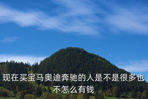 現(xiàn)在買寶馬奧迪奔馳的人是不是很多也不怎么有錢